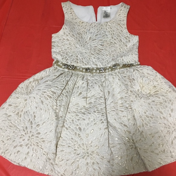 Max Studio Other - Girls formal/flower girl dress